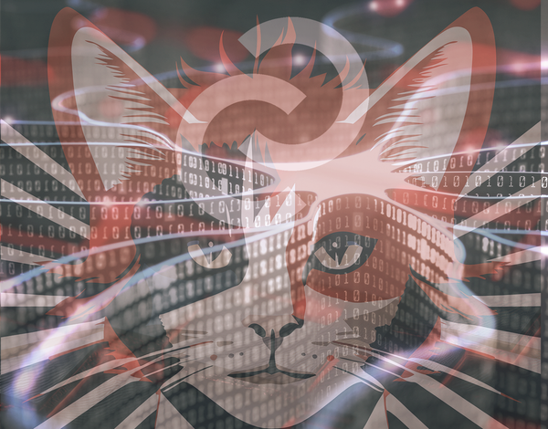 Bowie Bonds, Warner's billions, and the infrastructure problem, neither of which was solved…